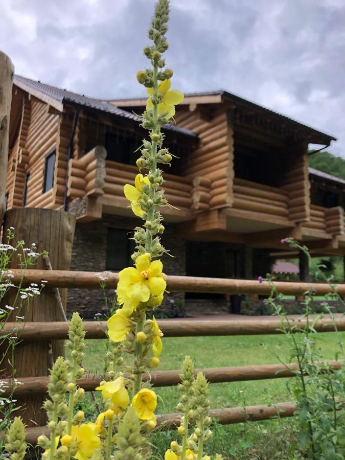 Hotel Casa din Vale Sacuieu Esterno foto
